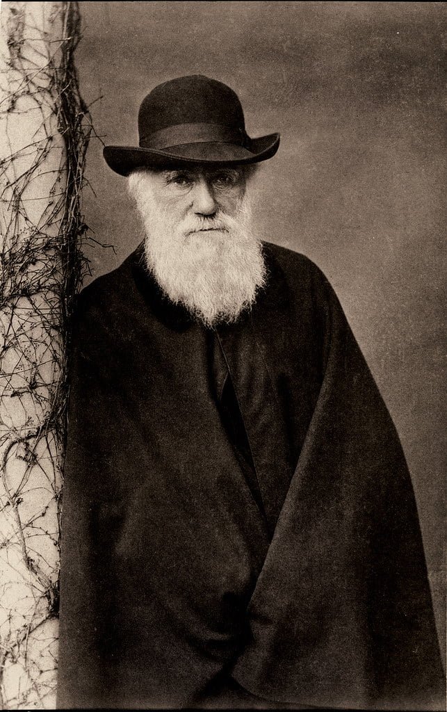 charles darwin Praktijk voor coaching en hypnotherapie Heeft een mens troost nodig?